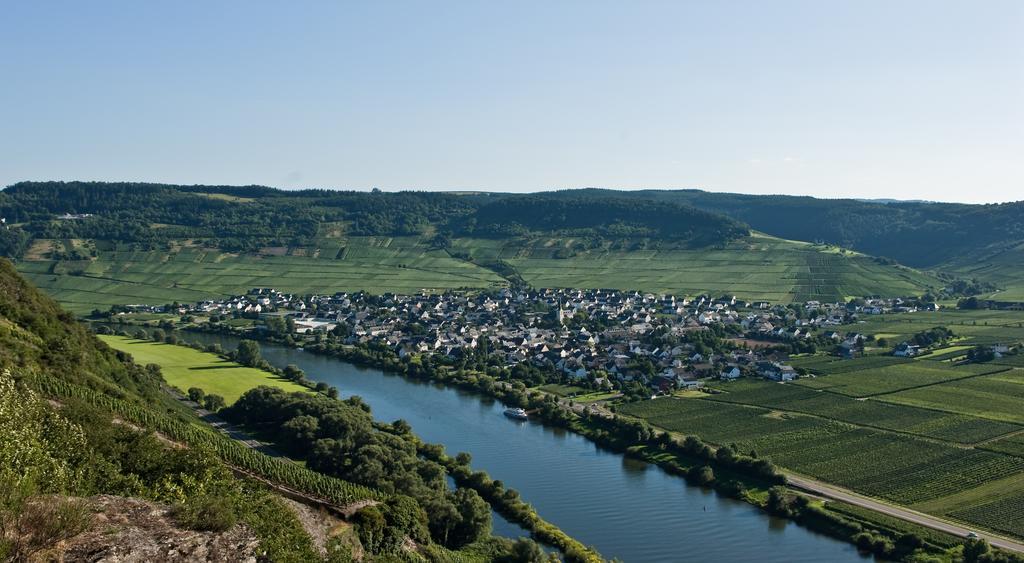 Weinhaus Kurtrierer Hof 호텔 라이웬 객실 사진